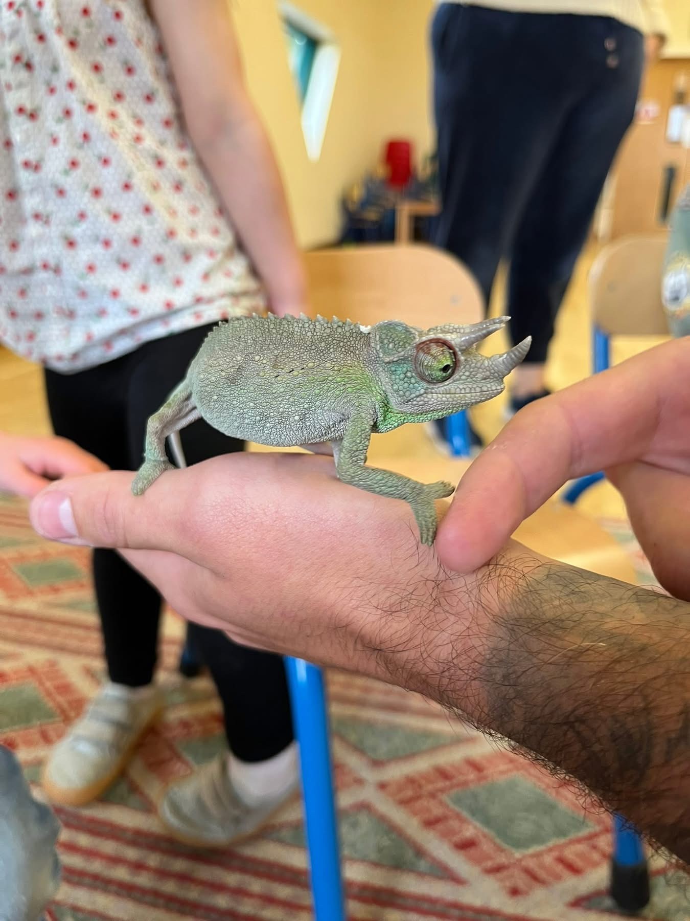 Visit from C&L Aquatics